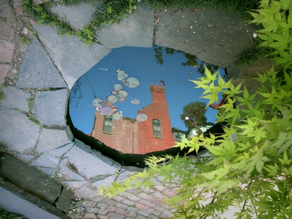 Photograph Alice Fung Yee Ng Reflection Pond on One Eyeland
